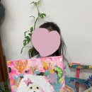 삐삐아트스튜디오학원