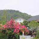 유금3리 이미지