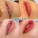 뷰티문 네이버블로그