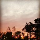 핑크부동산중개사무소 이미지