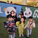 삼손태권도 이미지