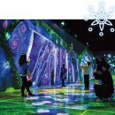 통영 빛의 축제 남망산공원( DPIRANG ) 이미지