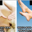 얼굴관리몸매관리