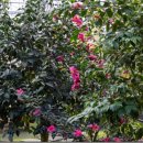 천운농장-2 이미지