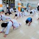 국가대표 S 태권도 네이버블로그