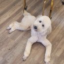 오늘도 너에개 이미지