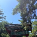 법흥사부도 | 강원도 영월 가볼만한곳, 캠핑장에서 걸어서 다녀온 영월 법흥사