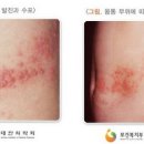서울진마취통증의학과의원 이미지
