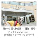주식회사 펫츠고트래블 | KINOCK HOTEL, 카페 스니프, 키녹 강아지운동장, 실내 강아지놀이터, 내돈내산 솔직후기, 펫츠고 특가
