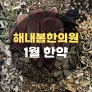 해내봄한의원 네이버블로그