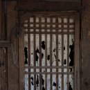 소나무숲민박 이미지