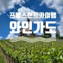 황새둥지 | 프랑스 렌트카여행 코스, 와인가도 스트라스부르, 위나비르, 리크위르, 예기솅 후기