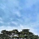 중앙대학교 예술대학원 이미지