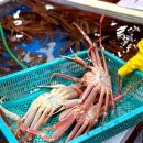 엄마수산 | 포항 죽도시장 대게 맛집 ‘동남대게수산’ 내돈내산 포장 후기: 엄마 찐단골집