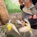 송정메디칼타워 | 울산 송정 실내동물원 헬로우쥬 | 울산 아이랑 가볼만한곳