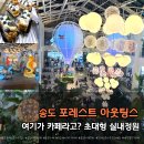 청량로 | 송도 대형카페 포레스트아웃팅스 송도점 주말 후기 주차 메뉴까지