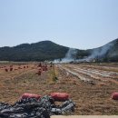 씨돌농장 이미지