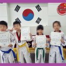 고려체대태권도 이미지