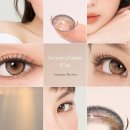 윙크안경콘택트 이미지