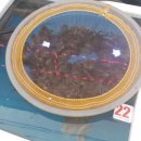 무안세발낙지 이미지