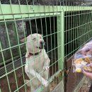 계명복지재단