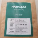 하라323로스팅