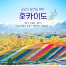 범한항공여행 이미지