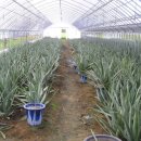 연곡농장 이미지