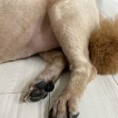 남현우동물병원 이미지