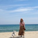 실로암메밀국수 이미지