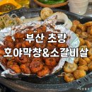 초량상로 | 부산 초량 호야막창&amp;소갈비살 | 초량맛집 찾는다면 여기로! 재방문 후기