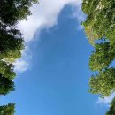 캠프메리어라운드 이미지