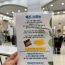 SPA JM(스파 제이엠) | 호치민 마사지 현지 추천 1군 제이엠 헤드스파 후기, 가격