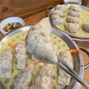 한끼만두 | 대전 만두 맛집 도안동 한끼손만두 후기