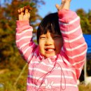 김포농장 Daum카페