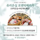 충혼길 | 춘천여행｜감성숙소 포레스트구봉 독채펜션 객실01 내돈내산 후기 (+유리온실, 브라이덜샤워 &amp; 베이비샤워)