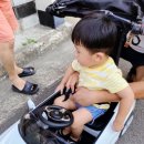 대구동아쇼핑 아가방갤러리 이미지