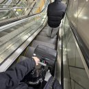 순이네농장 | [제주] 겨울 제주는 처음이라귤🍊