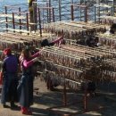 구룡포농업협동조합 이미지