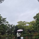 삼다수숲길 주차장 | [제주]제주 동쪽 볼거리_자연중심(산굼부리, 삼다수 숲길, 스누피 가든)