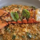 라펠리스 이미지