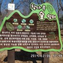 망월산 정상 이미지