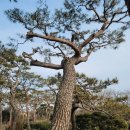 금마목장 이미지