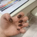 네일하일리 네이버블로그