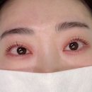 신당파출소 | [신당역 속눈썹 펌] 6번 출구 앞 속눈썹 펌 포베어페이스 후기