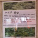 참순찰떡방 강릉밥알찹쌀떡 포장후기