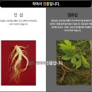 주식회사 청유 / 청유심이란?
