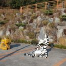 봉황산나래숲 이미지