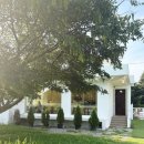 호국로1539번길 | 서울 근교 애견동반카페 추천｜노만주의 고양 잔디마당 힐링 후기