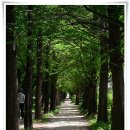 계명대학교정문건너 이미지